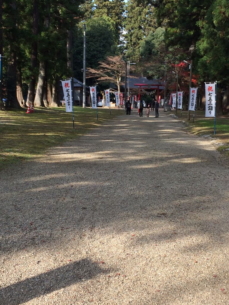 賀茂神社の参道