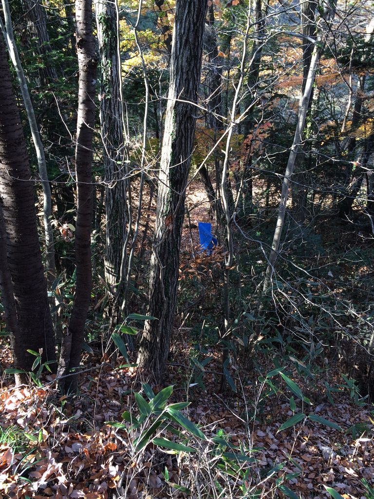 長命館公園 西入口