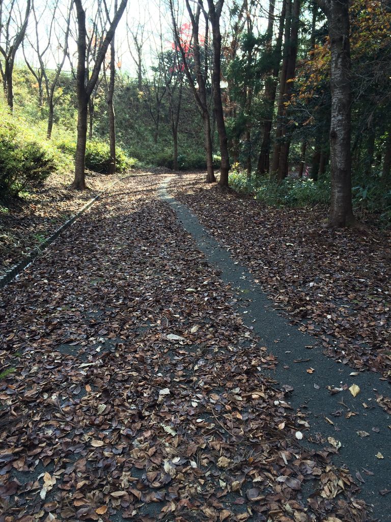 長命館公園 南入口からの散策路