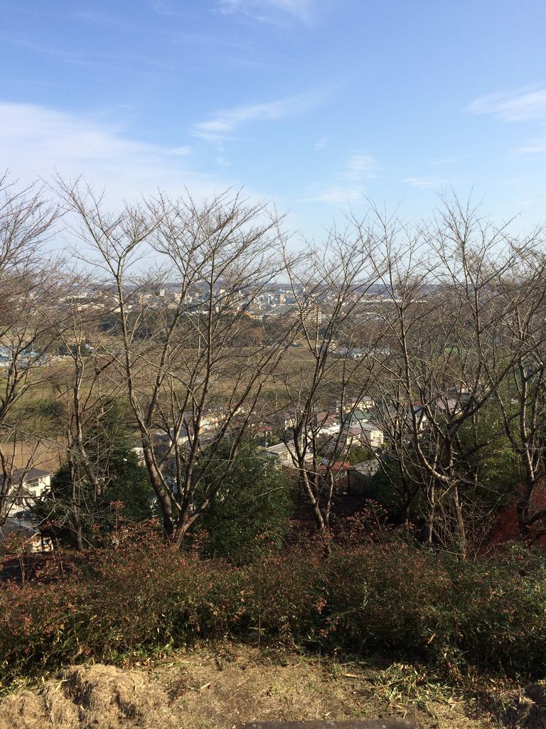 長命館公園 の物見台からの眺望