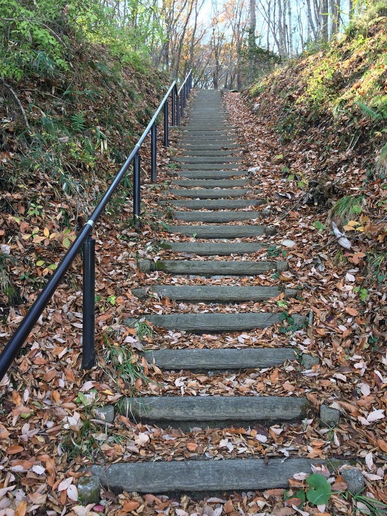 長命館公園の北入り口の階段