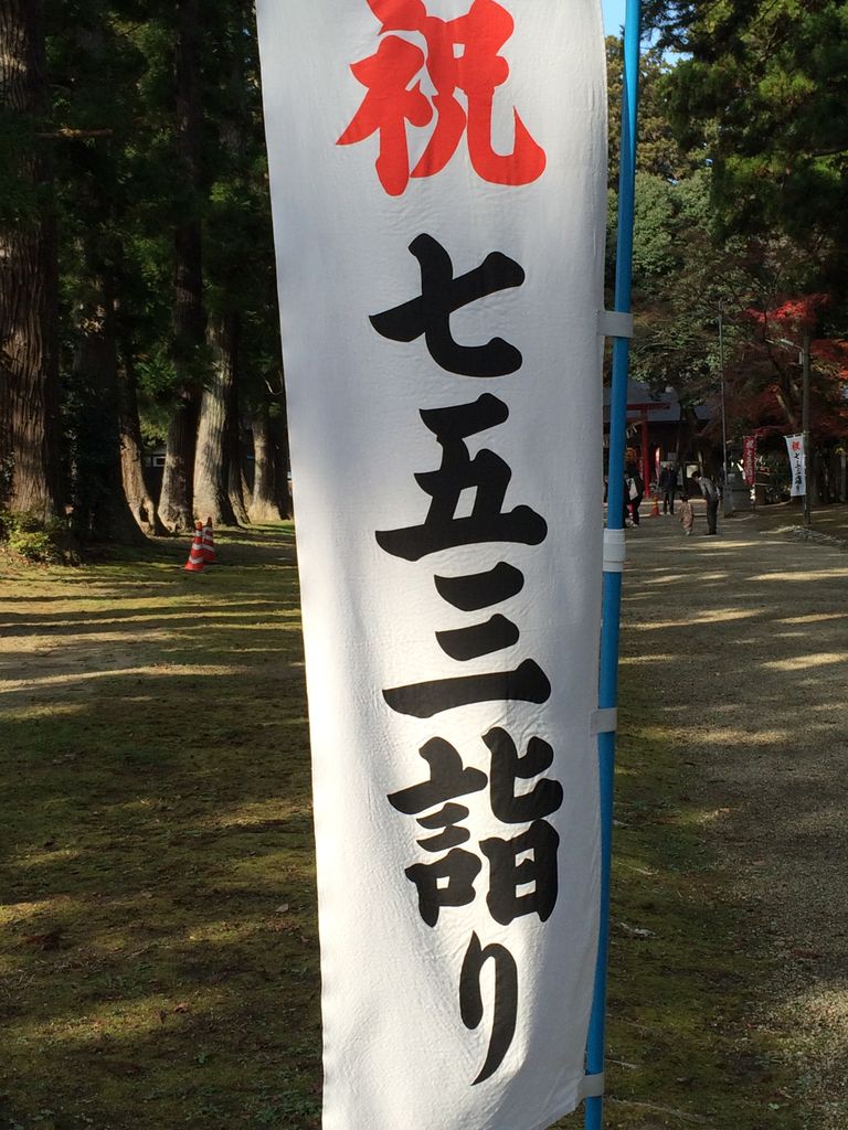 賀茂神社の七五三ののぼり旗