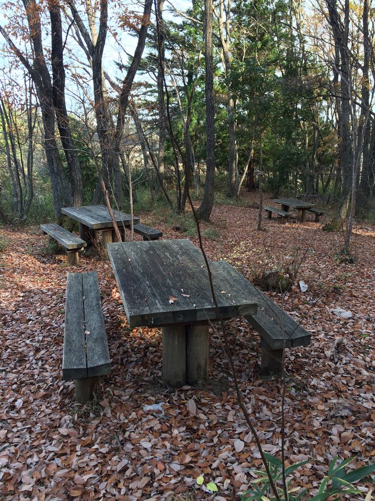 長命館公園のカタクリの森付近の木テーブルとベンチ