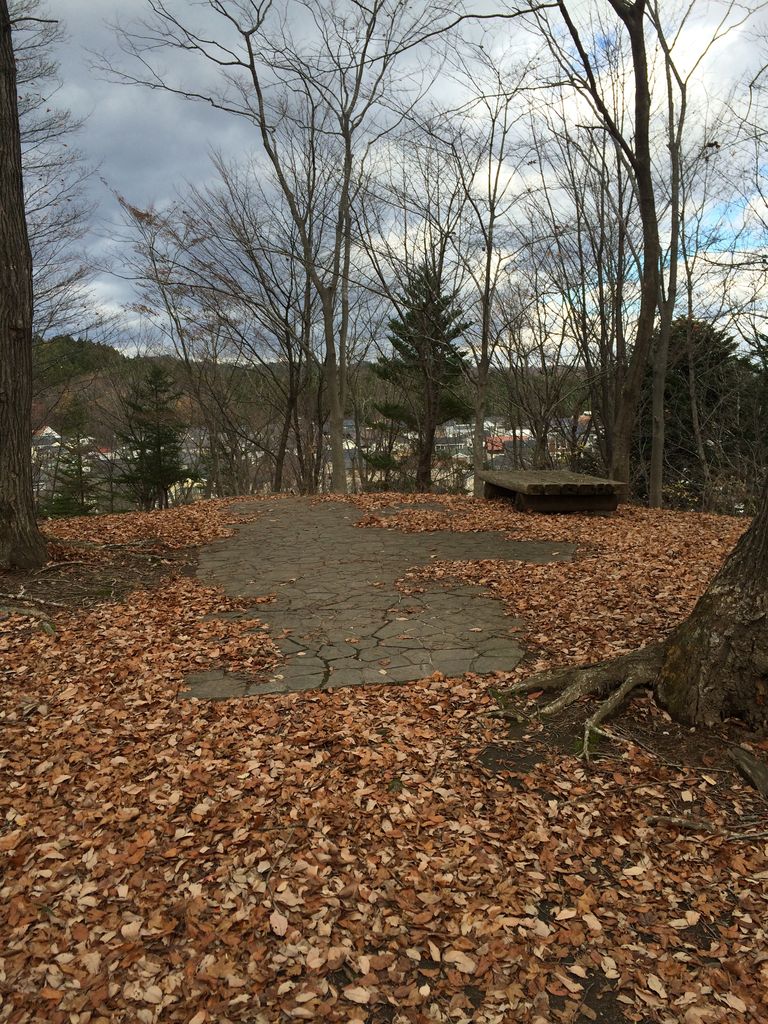 紫山公園 散策路途中のベンチ