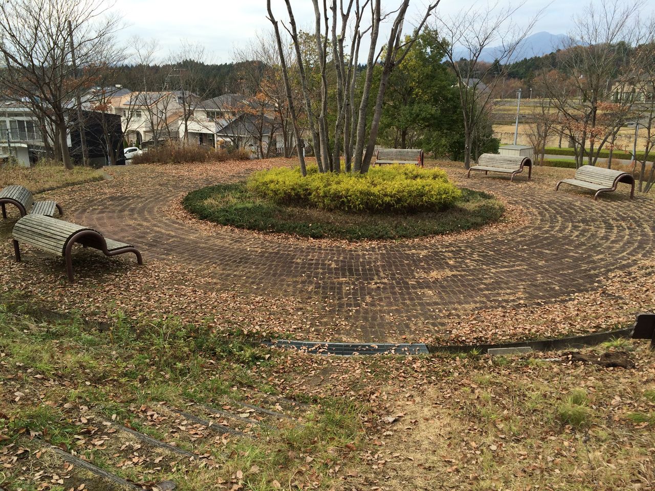 紫山公園 の広場のベンチ