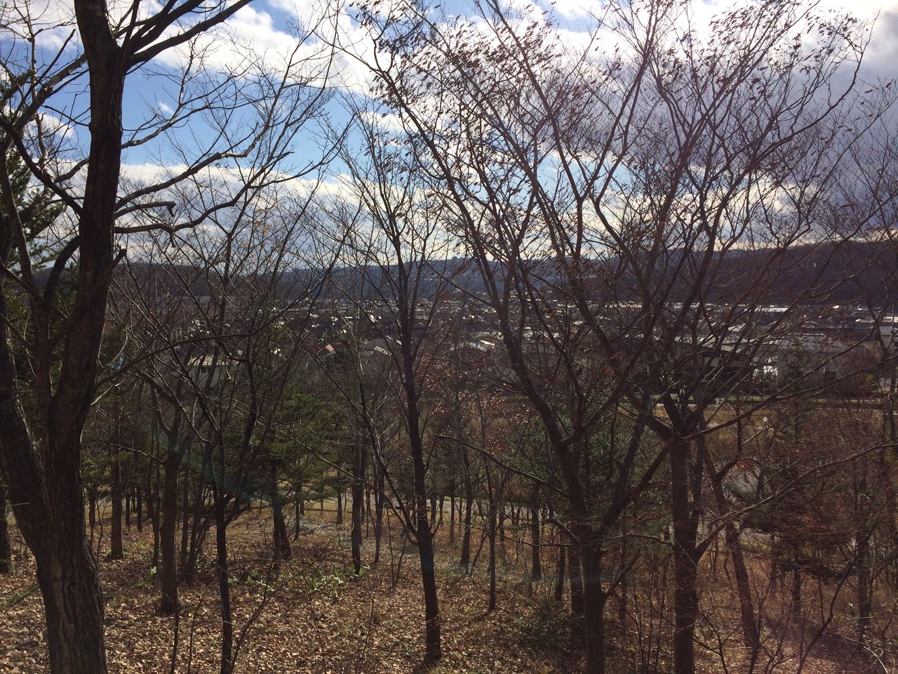 紫山公園 散策路からの眺望