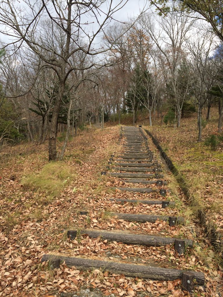 紫山公園 の散策路