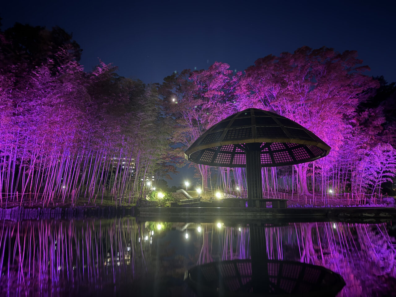 ライトアップされた七北田公園の池と東屋